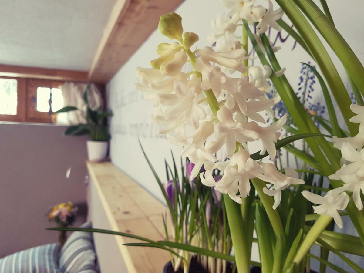 Grange Epiney Bed E Breakfast Bed & Breakfast ลาซัลเล ภายนอก รูปภาพ